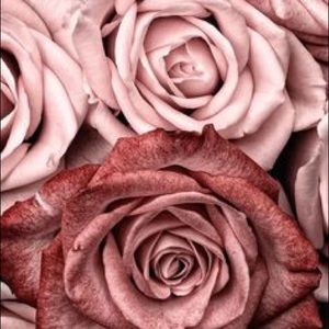 Meet your Posher, Lidia